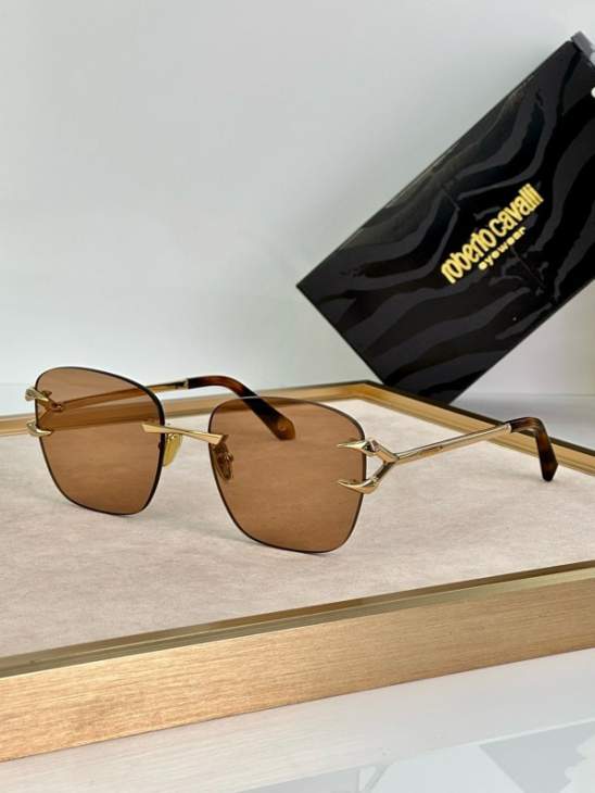 Picture of Roberto Cavalli Sunglasses _SKUfw60701563fw